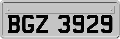 BGZ3929
