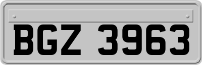 BGZ3963
