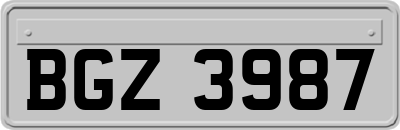 BGZ3987