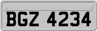 BGZ4234