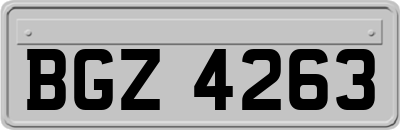 BGZ4263