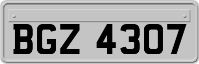 BGZ4307