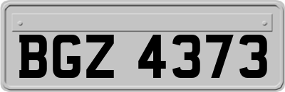 BGZ4373