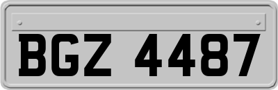 BGZ4487