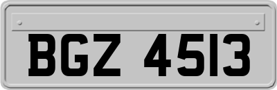 BGZ4513