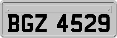 BGZ4529