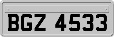 BGZ4533