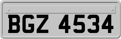BGZ4534
