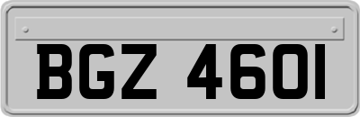 BGZ4601