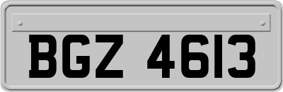 BGZ4613