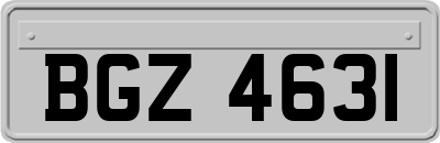 BGZ4631