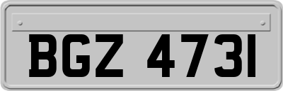 BGZ4731