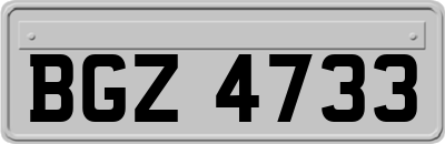 BGZ4733