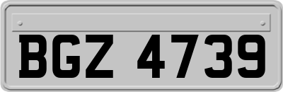 BGZ4739