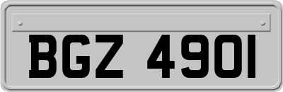 BGZ4901