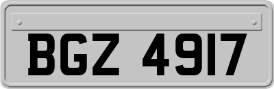BGZ4917