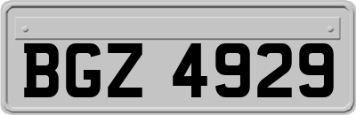 BGZ4929