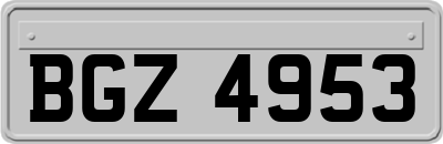 BGZ4953