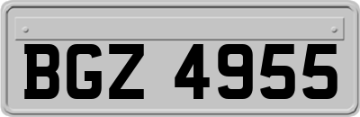 BGZ4955