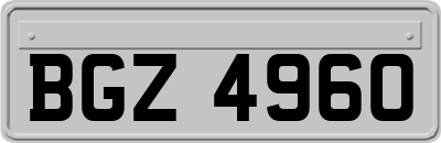 BGZ4960