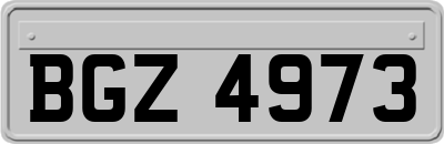 BGZ4973
