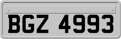 BGZ4993