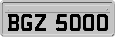 BGZ5000