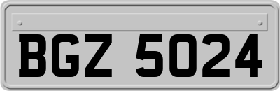 BGZ5024