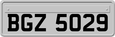BGZ5029