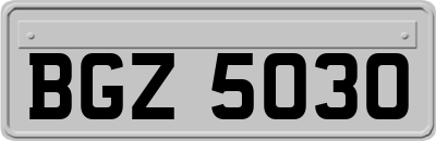 BGZ5030