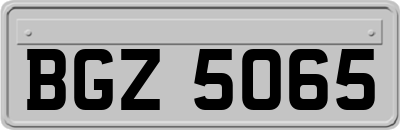 BGZ5065