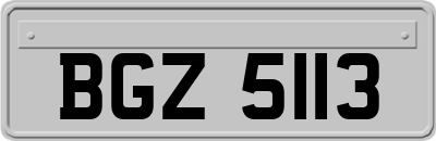 BGZ5113