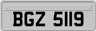 BGZ5119