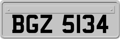 BGZ5134