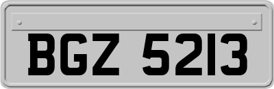 BGZ5213