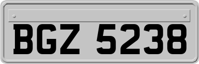 BGZ5238
