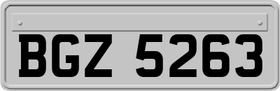 BGZ5263