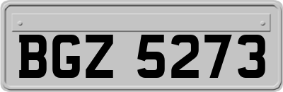 BGZ5273
