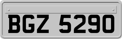BGZ5290