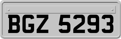 BGZ5293