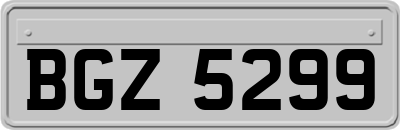 BGZ5299