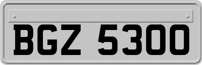 BGZ5300