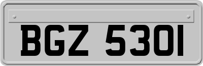 BGZ5301