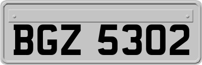 BGZ5302
