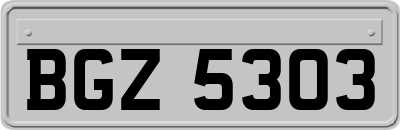 BGZ5303