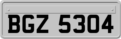 BGZ5304