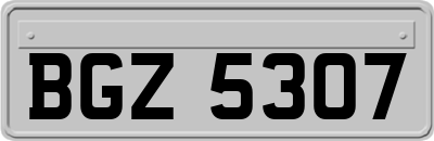 BGZ5307