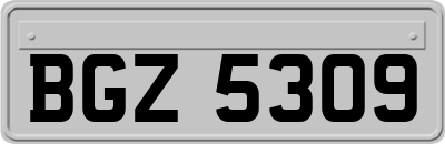 BGZ5309