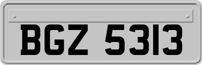 BGZ5313
