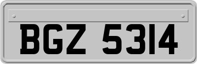 BGZ5314